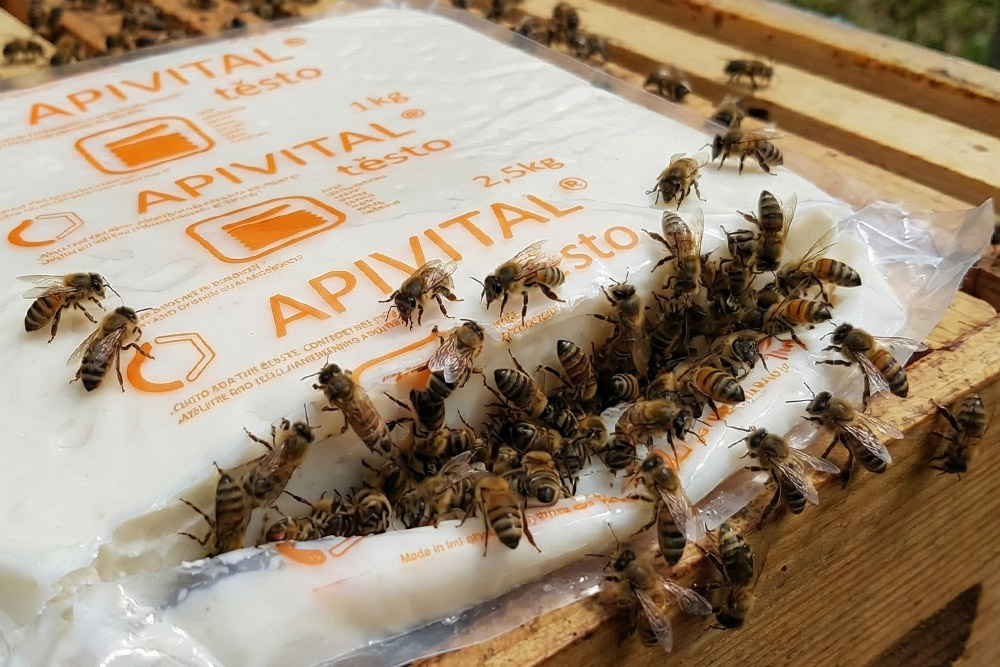 Balení krmného cukerného těsta APIVITAL leží na rámcích a včely se shromažďují u otevřeného obalu