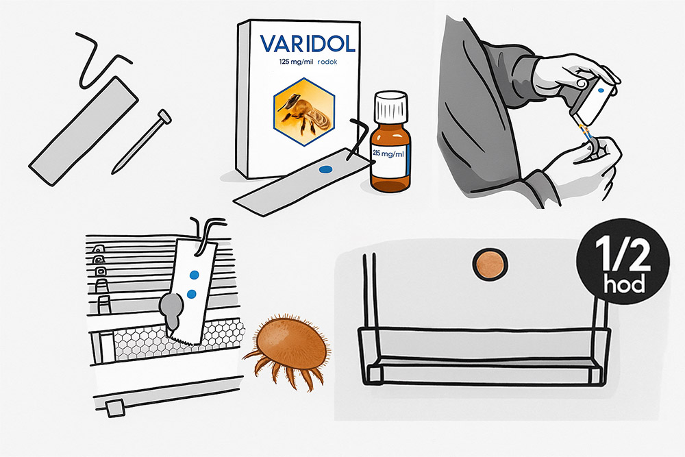 Ilustrace fumigace Varidolem s balením léčiva, aplikačními pomůckami a roztočem Varroa