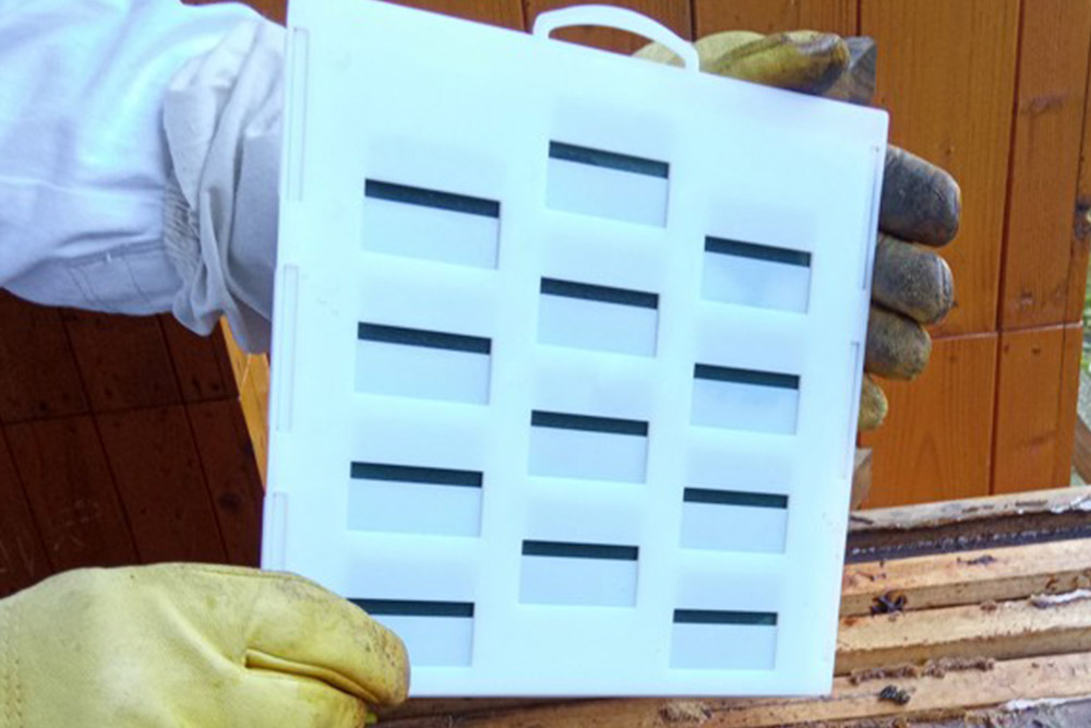 Bílý odpařovač Yannick s několika aplikačními otvory držený v rukavicích u úlu
