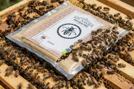 Balení proteinového těsta Apimana PRO leží na plástech pokrytých včelami