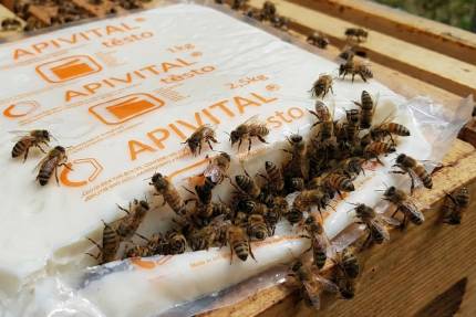 Balení krmného cukerného těsta APIVITAL leží na rámcích a včely se shromažďují u otevřeného obalu