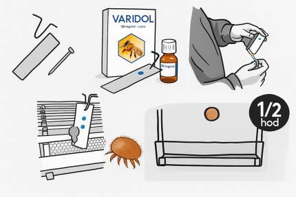 Ilustrace fumigace Varidolem s balením léčiva, aplikačními pomůckami a roztočem Varroa