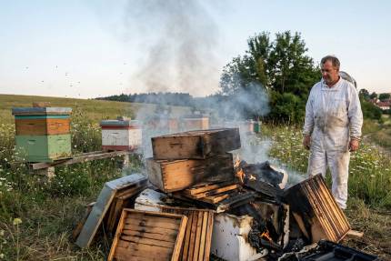 Včelař v bílém obleku stojí u kouřících úlů a hořících dřevěných nástavků na louce