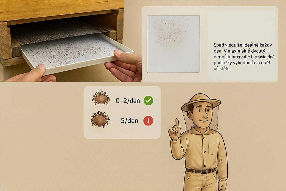 Infografika monitoringu spadu roztoče Varroa s podložkou, počty roztočů a včelařem