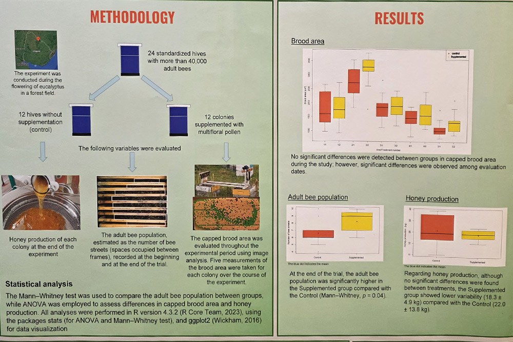 Vědecký poster s metodikou a výsledky studie vlivu multiflorálního pylu na včelstva, včetně grafů a schémat úlů