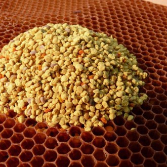 Květový pyl - Pleva - 100 g