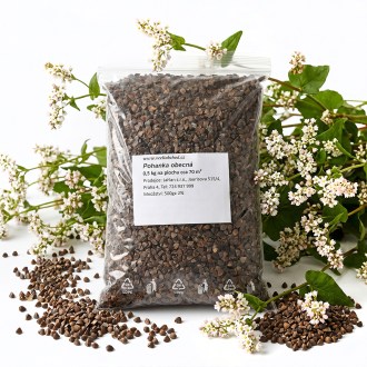 Pohanka obecná - 0,5 kg