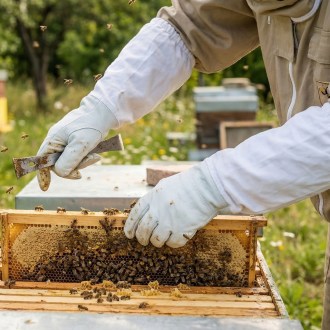 Včelařské rukavice kozinka vel. S-XXL