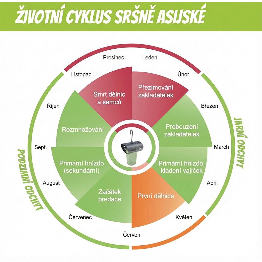 Past na asijské sršně VespaCatch